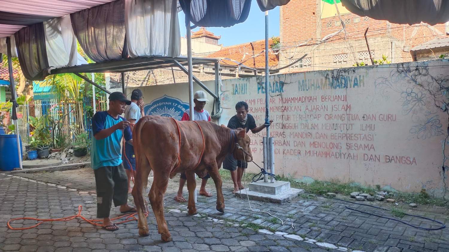 Kegiatan Penyembelihan Hewan Kurban di SD Muhammadiyah 17 Semarang : Berbagi dan Peduli dengan Sesama