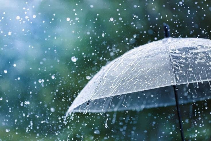 Foto close-up rintik air hujan yang jatuh di atas permukaan payung transparan dengan latar belakang pepohonan hijau yang kabur (bokeh). Tetesan air terlihat sangat detail, memantulkan cahaya, dan menciptakan suasana yang sejuk serta tenang