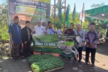 Muhammadiyah Semarang Bagikan 800 Bibit Cabai, Ajak Warga Mandiri Pangan dari Rumah