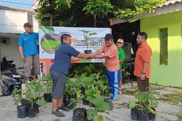 Siasat Warga Kalipancur Menjemput Udara Segar: Memulai Langkah Kecil Menanam Tanaman Pangan dari Teras Rumah