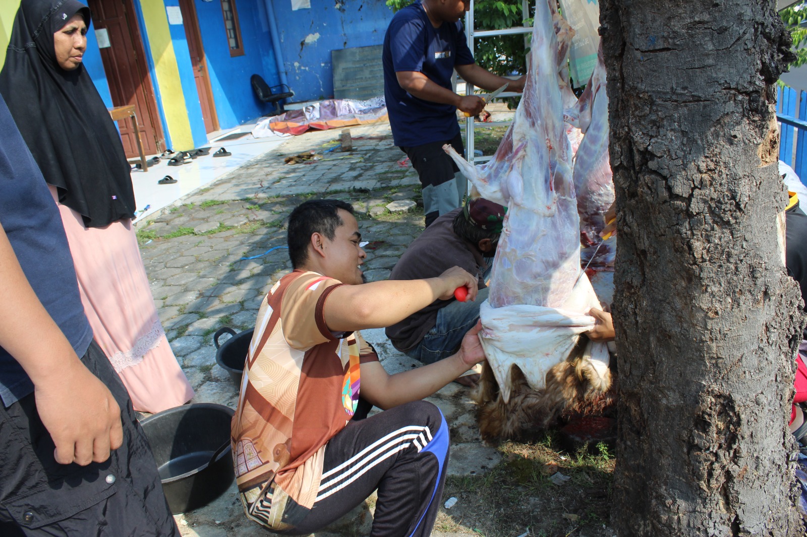 Seorang panitia kurban berkaus cokelat corak batik sedang menguliti kambing kurban yang tergantung di pohon di halaman sekolah, disaksikan beberapa relawan dan jemaah wanita berhijab hitam di dekat gedung sekolah dasar berwarna biru-kuning