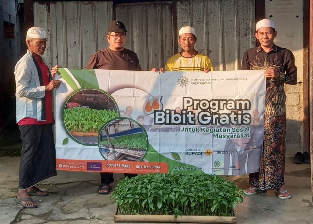 Empat orang pria berdiri bersama memegang spanduk Program Bibit Gratis dari Pimpinan Ranting Muhammadiyah (PRM) Kalipancur di depan tumpukan wadah berisi bibit tanaman hijau segar untuk ketahanan pangan mandiri di Ponpes Darul Karim Mijen Semarang.