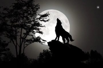 Stop Percaya Mitos Apes! Tepis Takhayul Di Bulan Safar