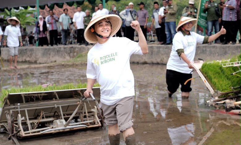 Ketua PWM Jawa Tengah KH. Tafsir turun ke sawah memimpin penanaman bibit dalam gerakan padi rojolele reborn di Gempol, Klaten.