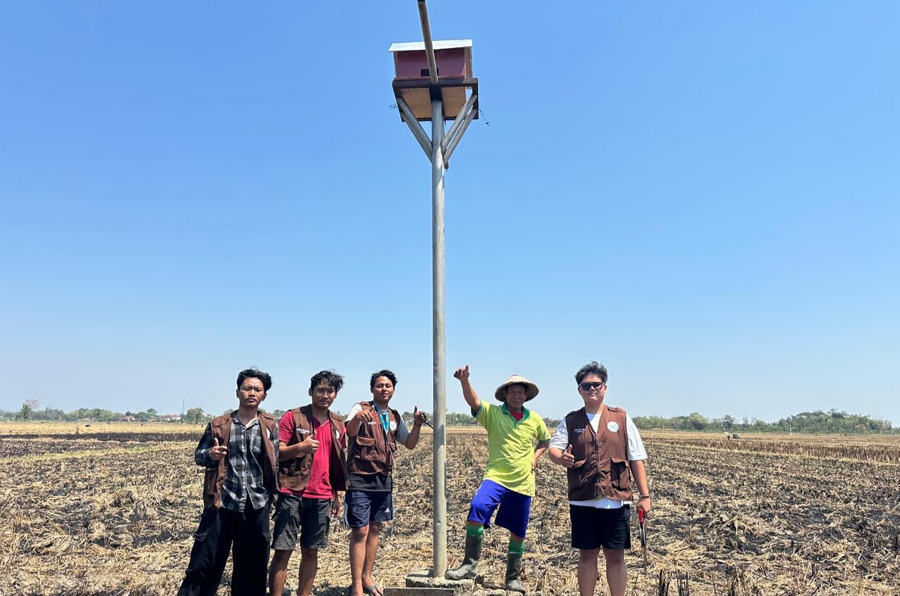 Empat mahasiswa KKN Unimus rompi cokelat dan seorang petani lokal kaos hijau berdiri di bawah tiang panggung Rumah Burung Hantu (RUBUHA) di tengah hamparan sawah Sukorejo, Grobogan, sambil berpose mengacungkan jempol.